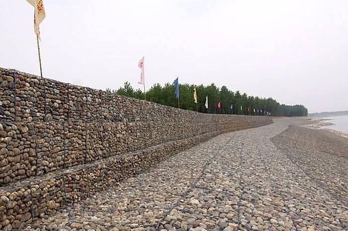 timg+96+.jpg timg+96+.jpg