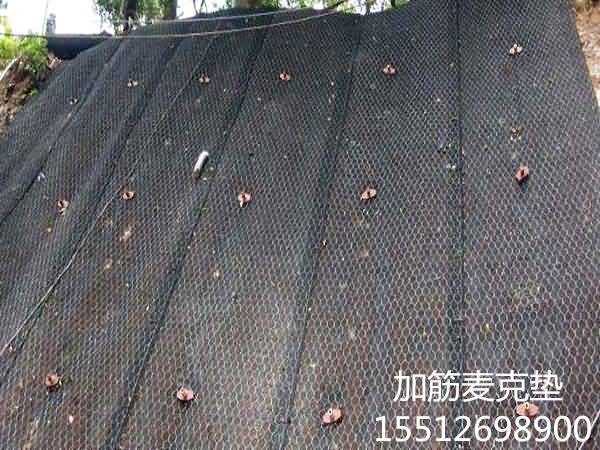 timg796565_副本.jpg timg796565_副本.jpg